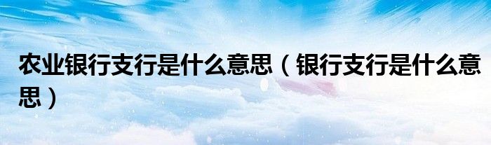 农业银行支行是什么意思（银行支行是什么意思）