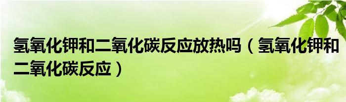 氢氧化钾和二氧化碳反应放热吗（氢氧化钾和二氧化碳反应）