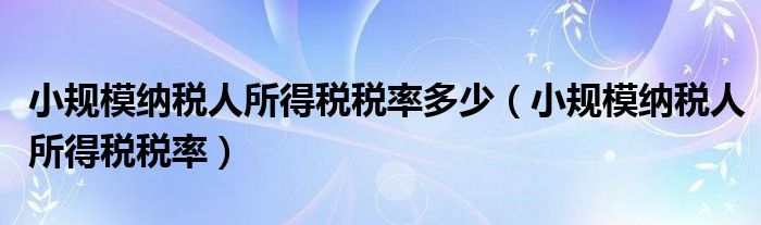 小规模纳税人所得税税率多少（小规模纳税人所得税税率）