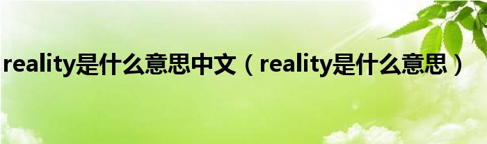 reality是什么意思中文（reality是什么意思）