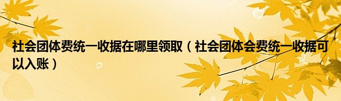 社会团体费统一收据在哪里领取（社会团体会费统一收据可以入账）