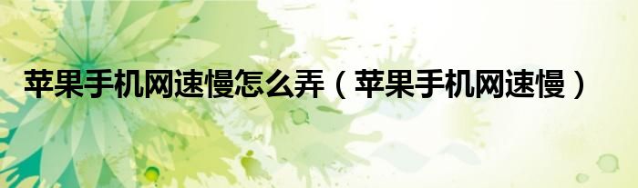 苹果手机网速慢怎么弄（苹果手机网速慢）