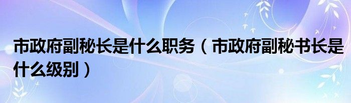 市政府副秘长是什么职务（市政府副秘书长是什么级别）