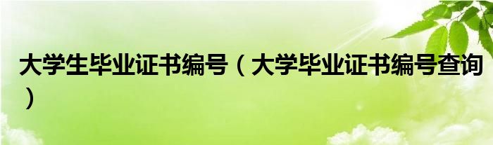 大学生毕业证书编号（大学毕业证书编号查询）
