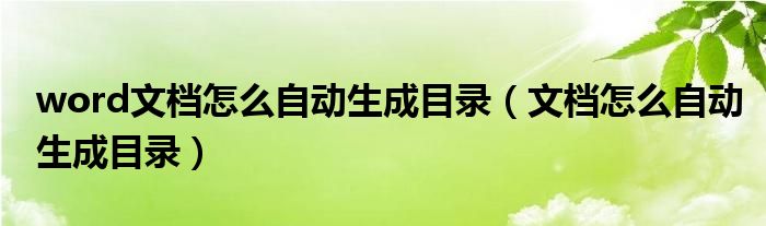 word文档怎么自动生成目录（文档怎么自动生成目录）