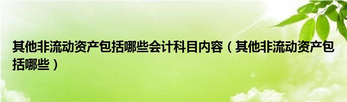 其他非流动资产包括哪些会计科目内容（其他非流动资产包括哪些）