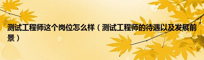 测试工程师这个岗位怎么样（测试工程师的待遇以及发展前景）