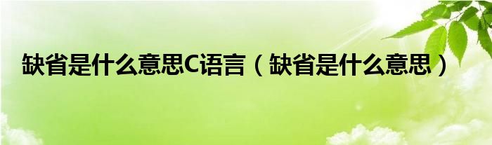缺省是什么意思C语言（缺省是什么意思）