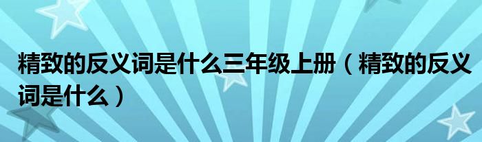 精致的反义词是什么三年级上册（精致的反义词是什么）