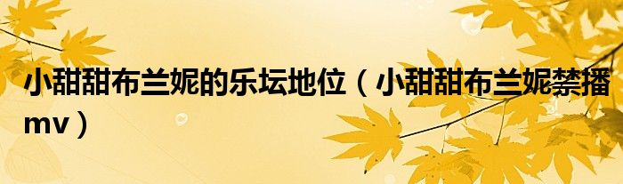 小甜甜布兰妮的乐坛地位（小甜甜布兰妮禁播mv）