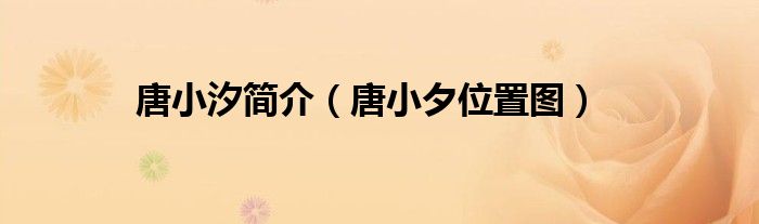 唐小汐简介（唐小夕位置图）