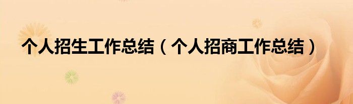 个人招生工作总结（个人招商工作总结）