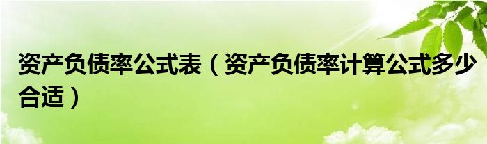 资产负债率公式表（资产负债率计算公式多少合适）