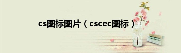 cs图标图片（cscec图标）