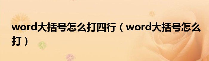 word大括号怎么打四行（word大括号怎么打）