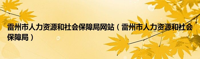 雷州市人力资源和社会保障局网站（雷州市人力资源和社会保障局）
