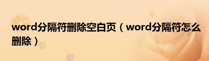 word分隔符删除空白页（word分隔符怎么删除）