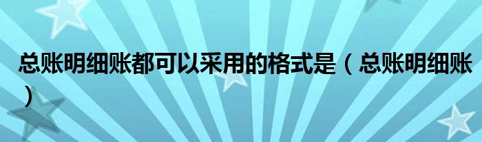 总账明细账都可以采用的格式是（总账明细账）