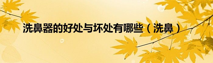 洗鼻器的好处与坏处有哪些（洗鼻）