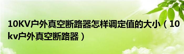 10KV户外真空断路器怎样调定值的大小（10kv户外真空断路器）