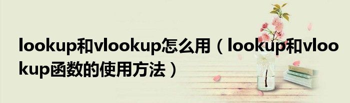 lookup和vlookup怎么用（lookup和vlookup函数的使用方法）