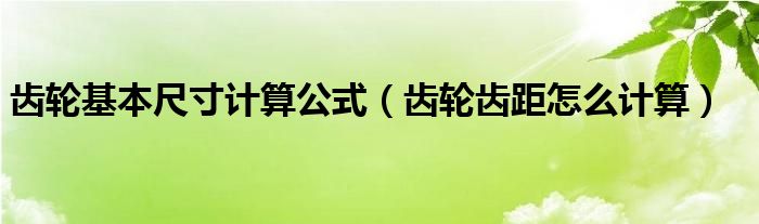 齿轮基本尺寸计算公式（齿轮齿距怎么计算）