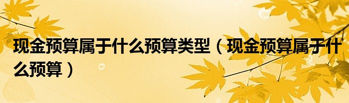 现金预算属于什么预算类型（现金预算属于什么预算）