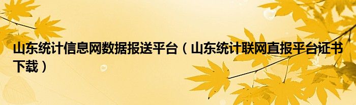 山东统计信息网数据报送平台（山东统计联网直报平台证书下载）