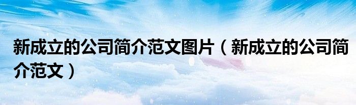 新成立的公司简介范文图片（新成立的公司简介范文）