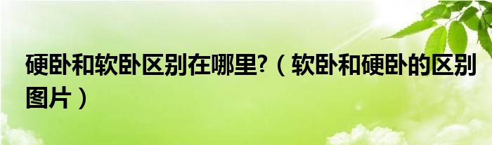 硬卧和软卧区别在哪里?（软卧和硬卧的区别图片）