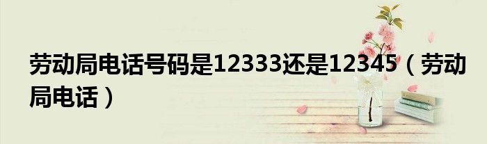 劳动局电话号码是12333还是12345（劳动局电话）