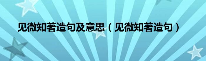 见微知著造句及意思（见微知著造句）