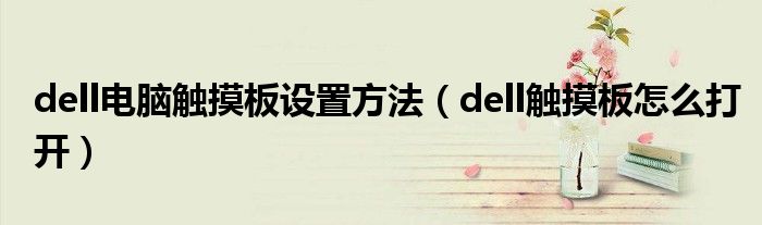 dell电脑触摸板设置方法（dell触摸板怎么打开）