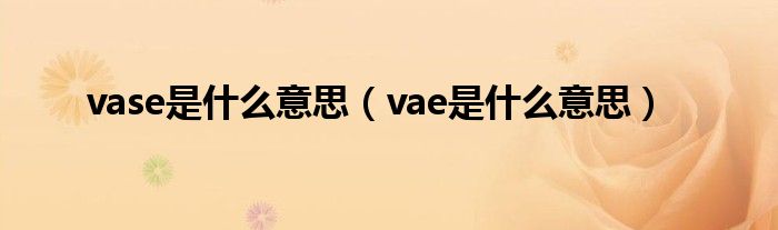 vase是什么意思（vae是什么意思）