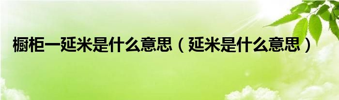 橱柜一延米是什么意思（延米是什么意思）