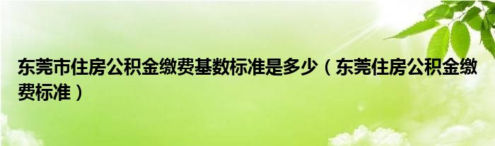 东莞市住房公积金缴费基数标准是多少（东莞住房公积金缴费标准）