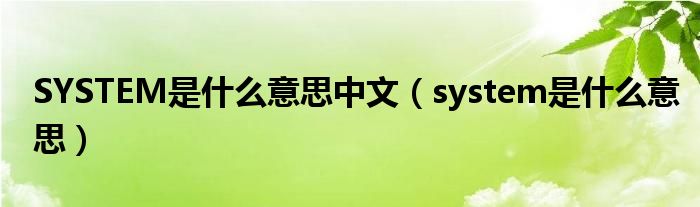 SYSTEM是什么意思中文（system是什么意思）