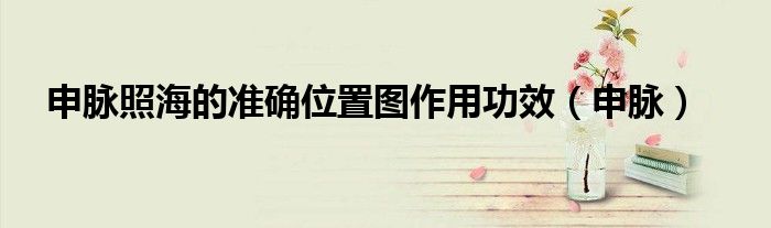 申脉照海的准确位置图作用功效（申脉）