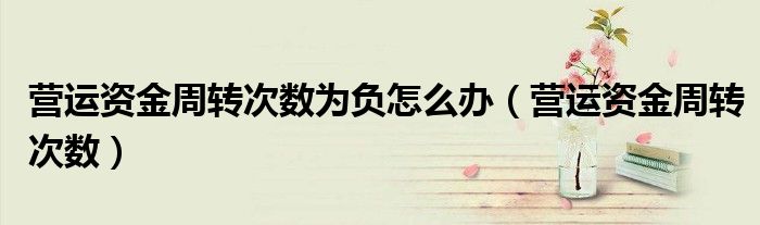营运资金周转次数为负怎么办（营运资金周转次数）
