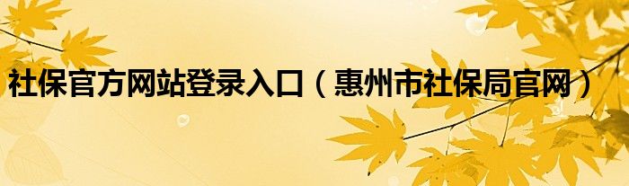 社保官方网站登录入口（惠州市社保局官网）