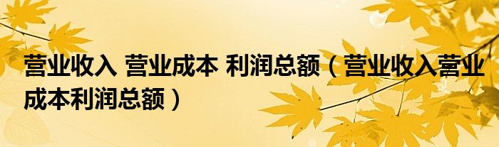 营业收入 营业成本 利润总额（营业收入营业成本利润总额）