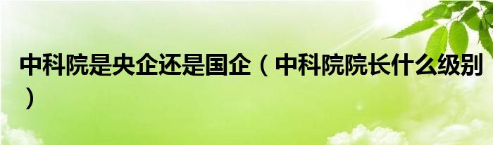 中科院是央企还是国企（中科院院长什么级别）