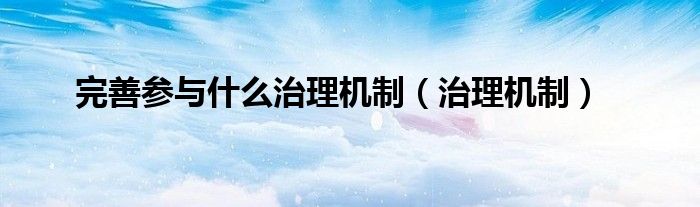 完善参与什么治理机制（治理机制）