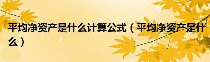 平均净资产是什么计算公式（平均净资产是什么）
