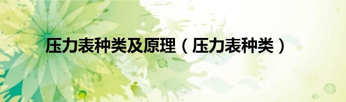 压力表种类及原理（压力表种类）