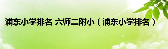 浦东小学排名 六师二附小（浦东小学排名）