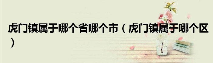 虎门镇属于哪个省哪个市（虎门镇属于哪个区）