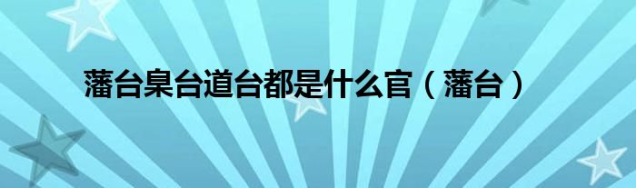 藩台臬台道台都是什么官（藩台）