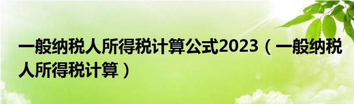 一般纳税人所得税计算公式2023（一般纳税人所得税计算）