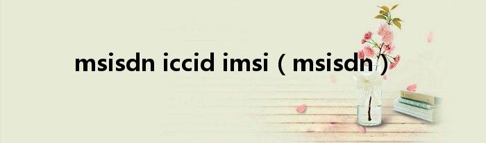 msisdn iccid imsi（msisdn）
